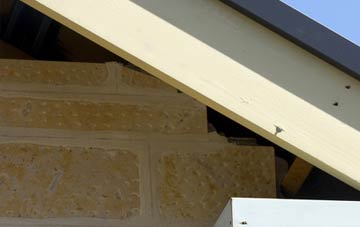 soffit repair The Grove