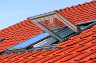 The Grove roof window
